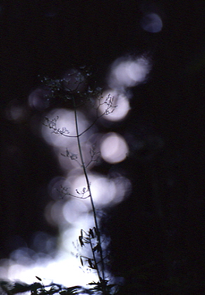 �s�v�c�H�I