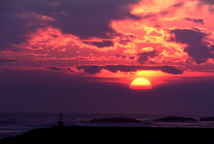 �P�X�X�X�N�Ō�̗[��