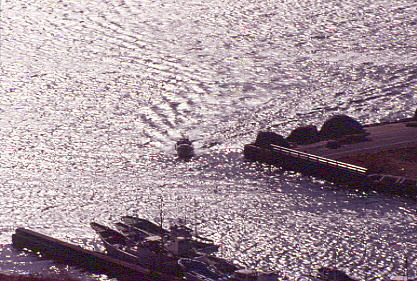 �L���L��