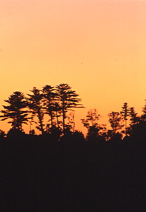 �����́@�����H